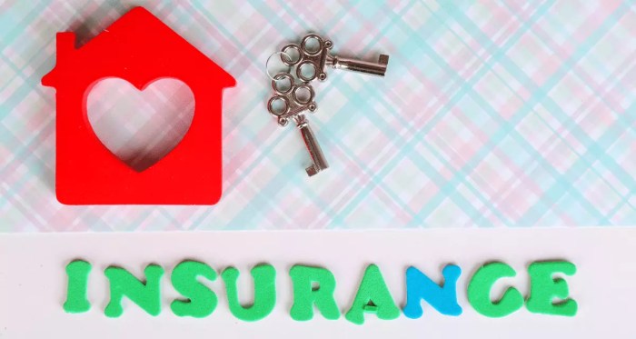 Understanding the components of homeowners insurance premiums