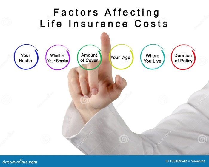 Factors affecting life insurance premiums for smokers